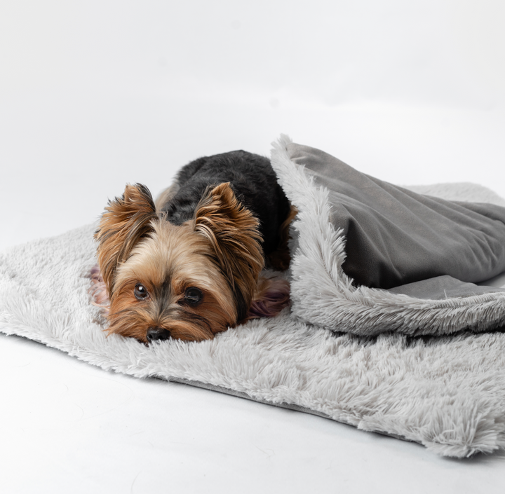 Weighted Dog Blanket