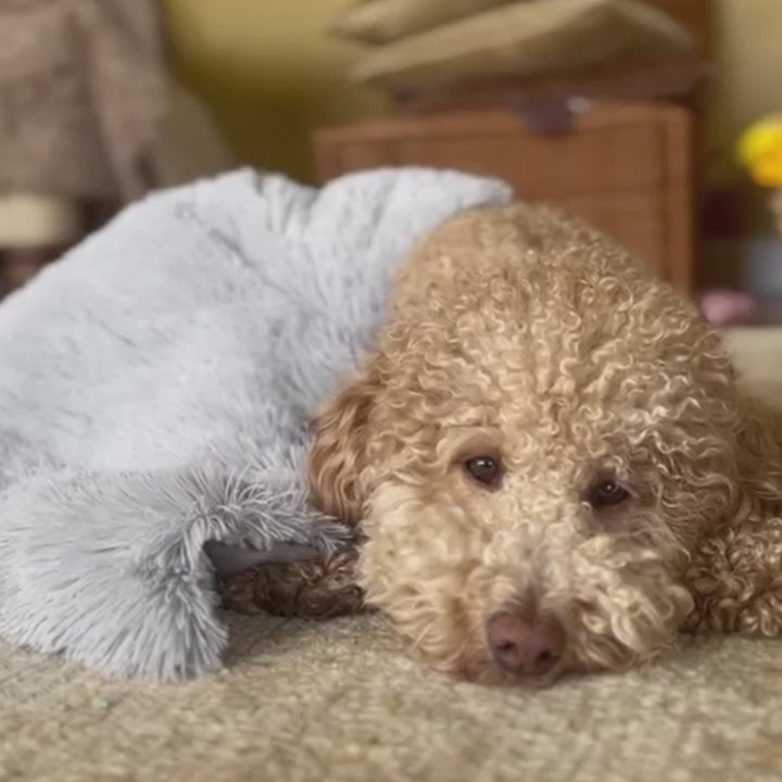 Weighted Dog Blanket